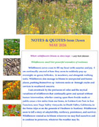 Notes and Quotes – May 2026